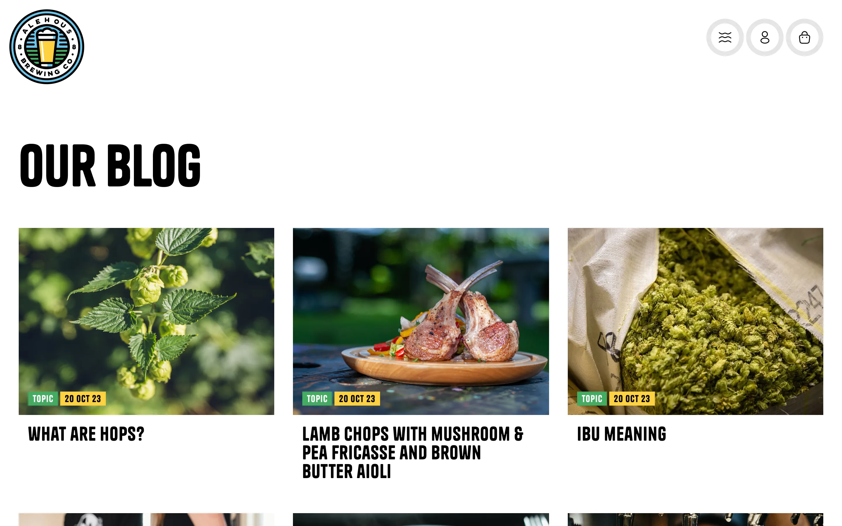 Blog V2